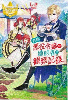 双视图切换功能说明配图
